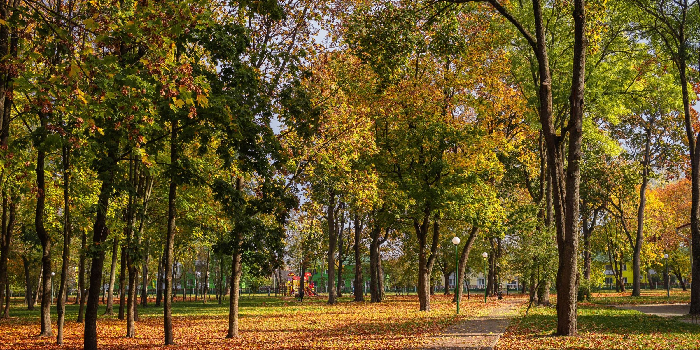Una escena otoñal en un parque con árboles preciosos | Fuente: Pexels