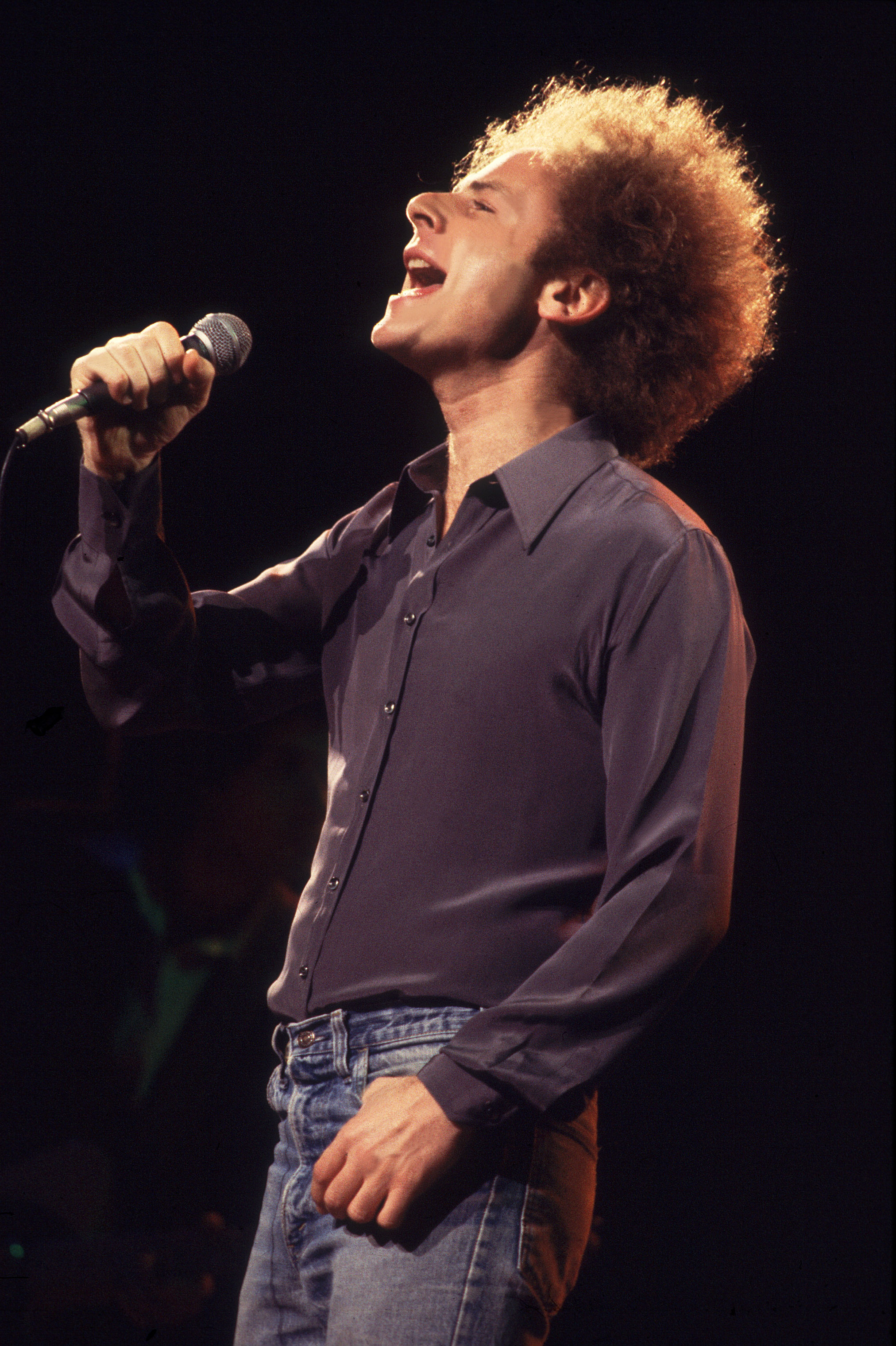 Art Garfunkel en Chicago, Ilinois, el 1 de abril de 1978 | Fuente: Getty Images