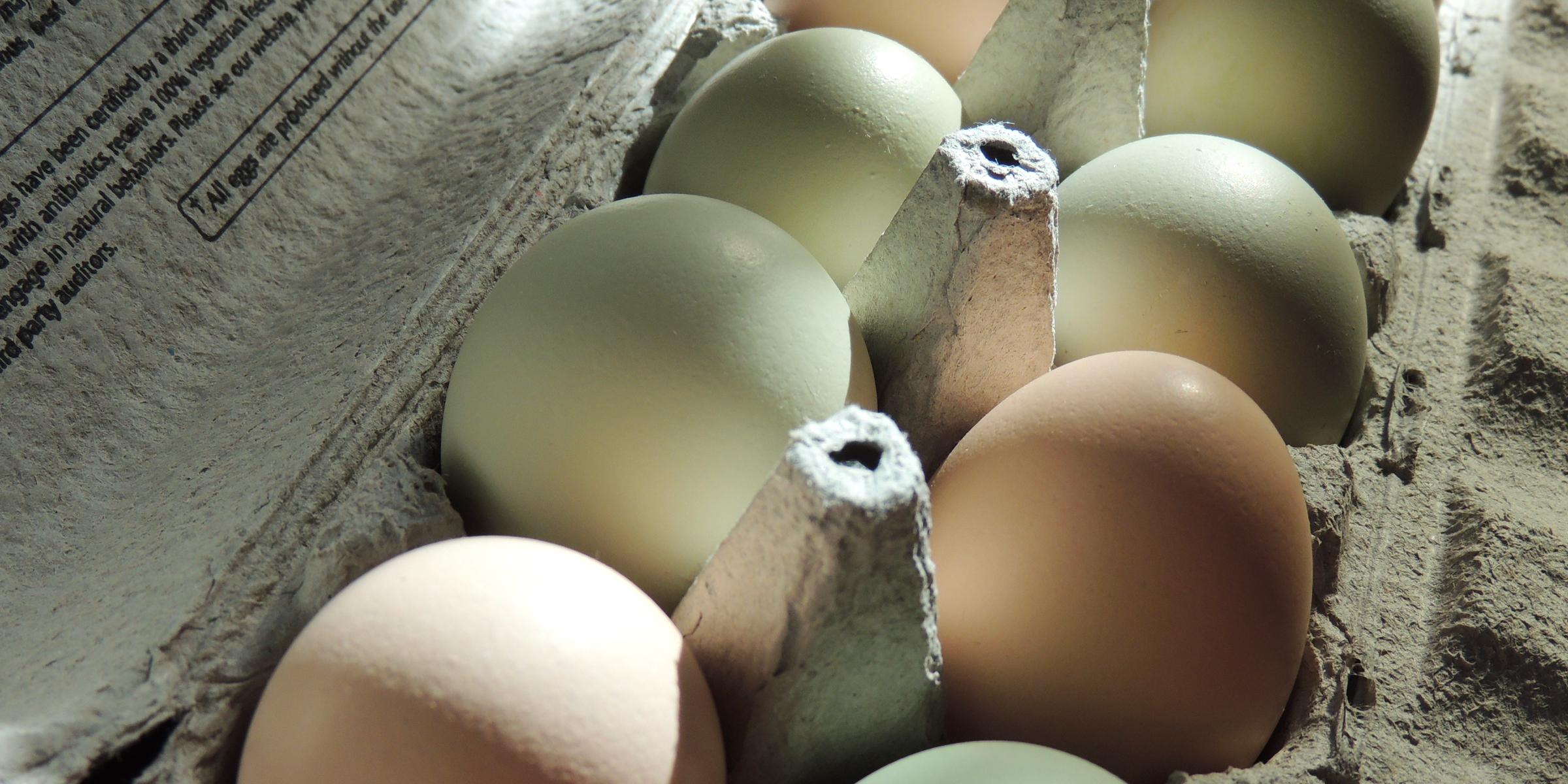 Huevos en una caja de cartón | Fuente: Flickr.com/Nutrición, Seguridad Alimentaria y Salud (Dominio Público)