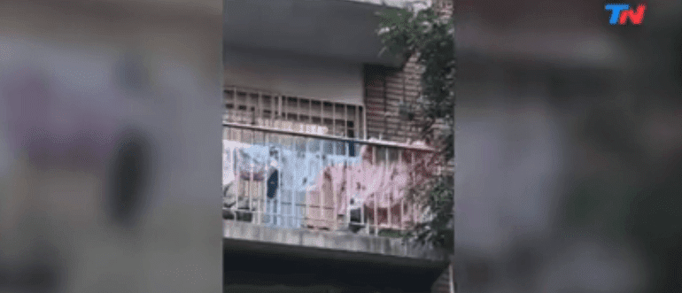 Perrito llorando en el balcón / Imagen tomada de: Facebook / Trini Noticias