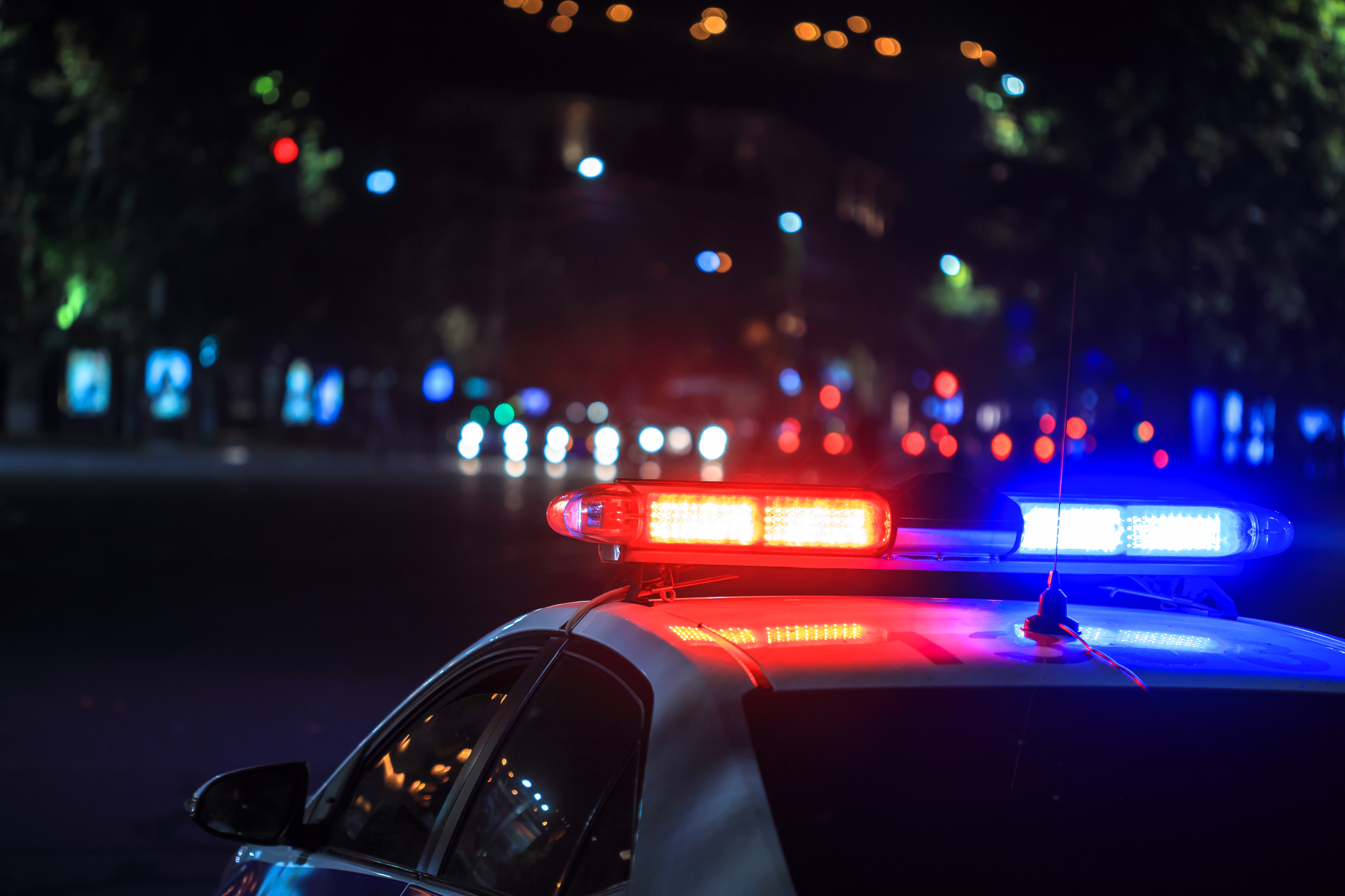 Automóvil de policía | Fuente: Shutterstock