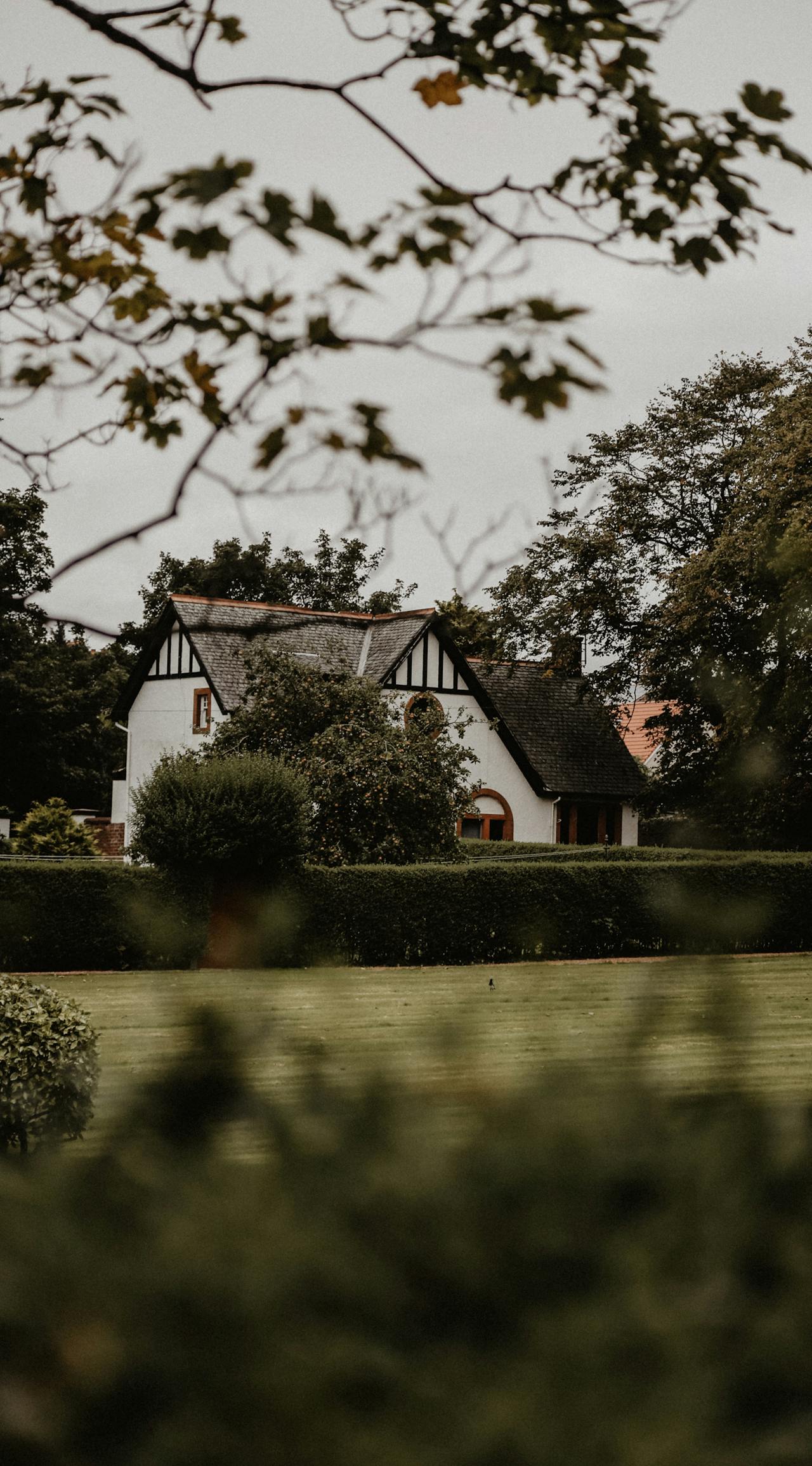 Una casa rodeada por un seto | Fuente: Pexels