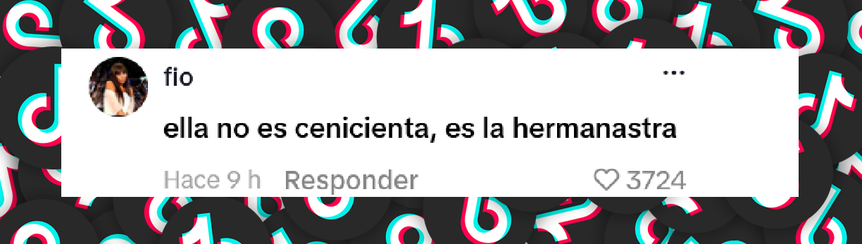 Comentario de una usuaria ante la actitud de la hija de Stephanie Demner en un video en Disney | Fuente: TikTok/stephaniedemner1