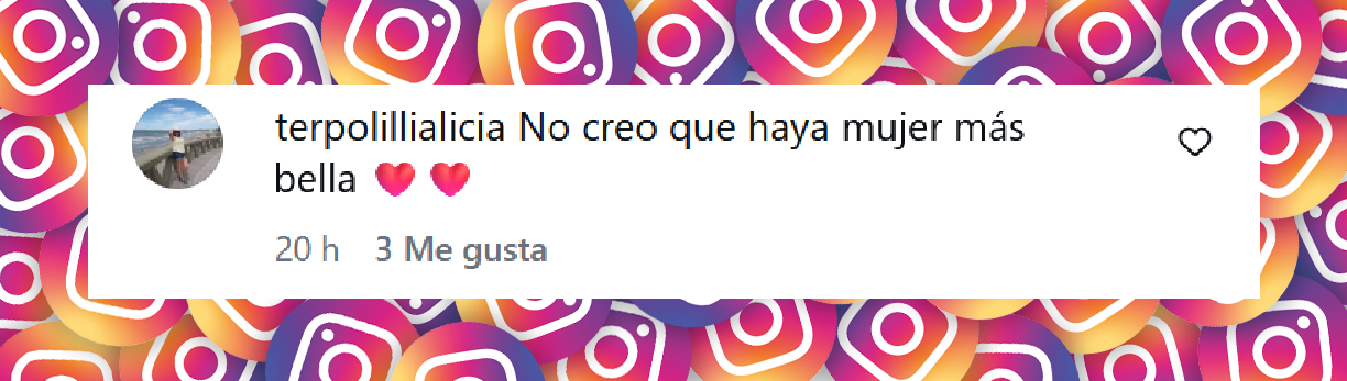 Comentario de una persona tras ver el video de Graciela Alfano luciendo un bikini a sus 73 años | Fuente: Instagram/iconoalfano