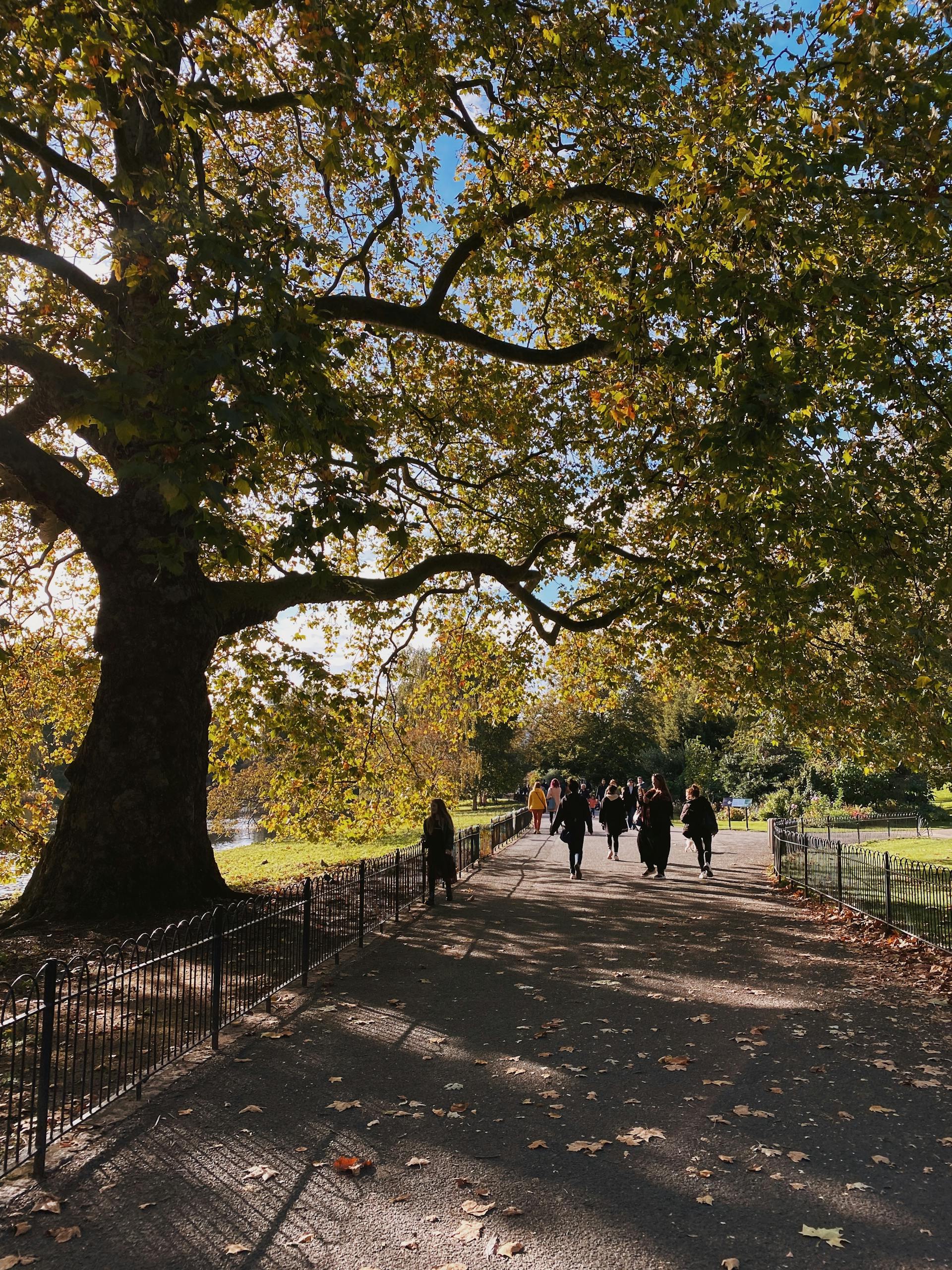 Gente paseando por un parque | Fuente: Pexels