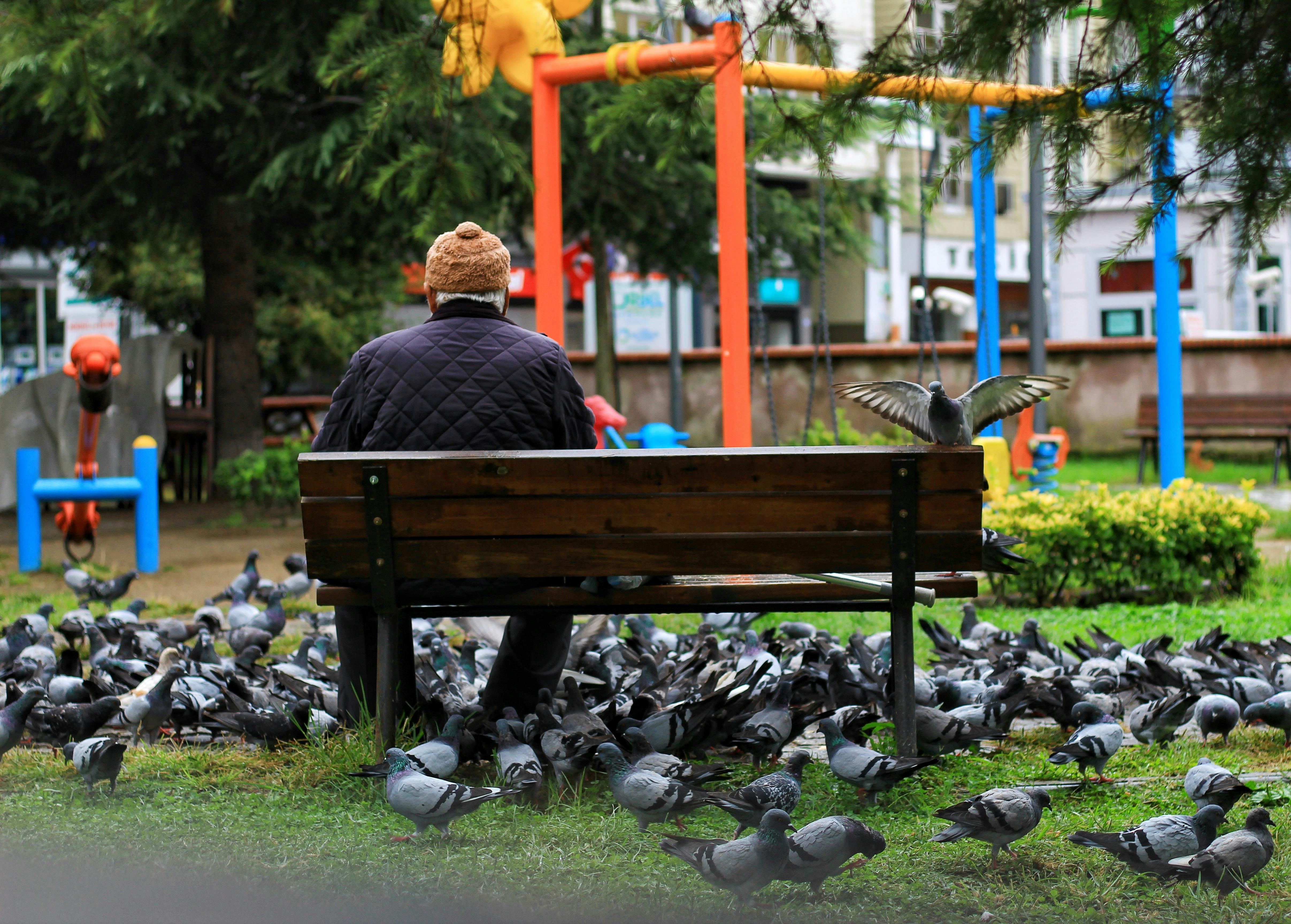 Hombre sentado en un banco de un parque | Fuente: Pexels