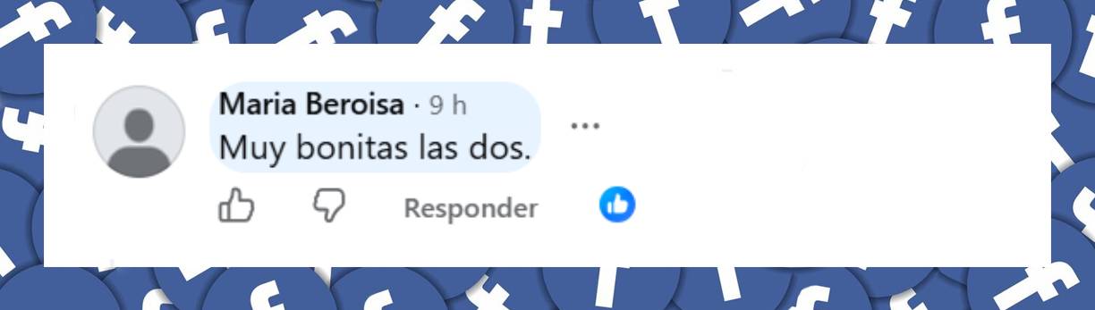 Comentario de una usuaria | Fuente: Facebook/infobae