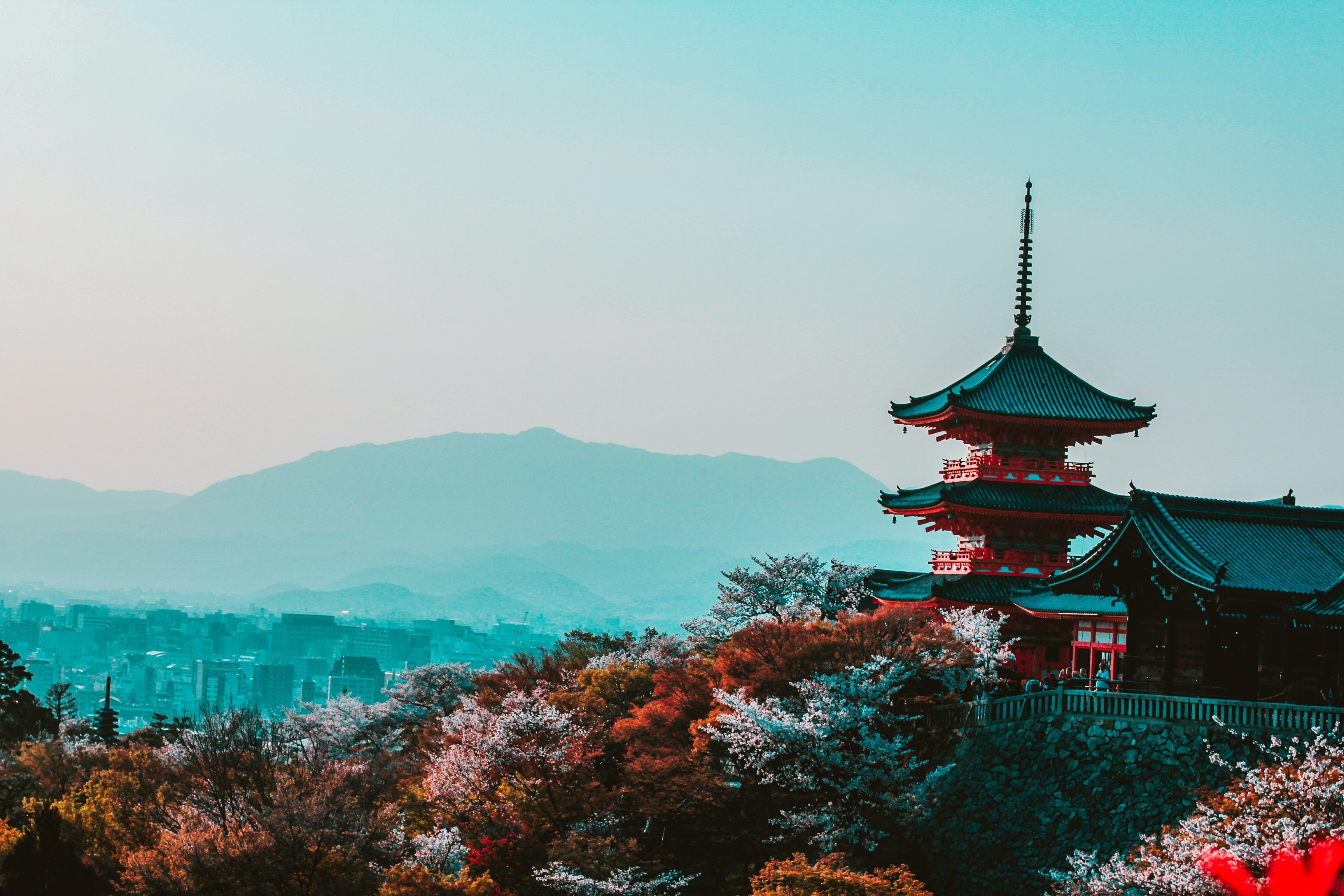 Paisaje de Japón. | Foto: Pexels