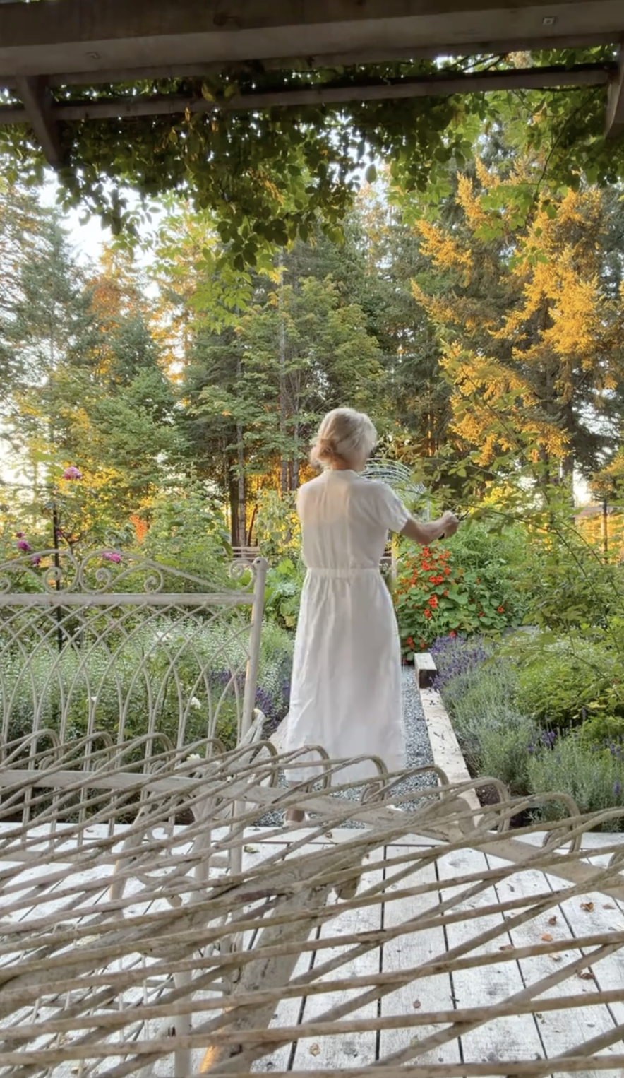 Pamela Anderson cuida las enredaderas de su jardín de Arcady; la vemos de espaldas con un etéreo vestido midi blanco de manga corta, bañada por la cálida luz de la mañana. Rodeada de muebles de jardín rústicos de hierro forjado, vibrantes parterres de lavanda y altos árboles de hoja perenne, compartió esta tranquila escena en TikTok con un dulce saludo: «Te deseo otra mañana encantadora desde el jardín… que tengas un día precioso 🌷🤍». | Fuente: TikTok/pamelaanderson
