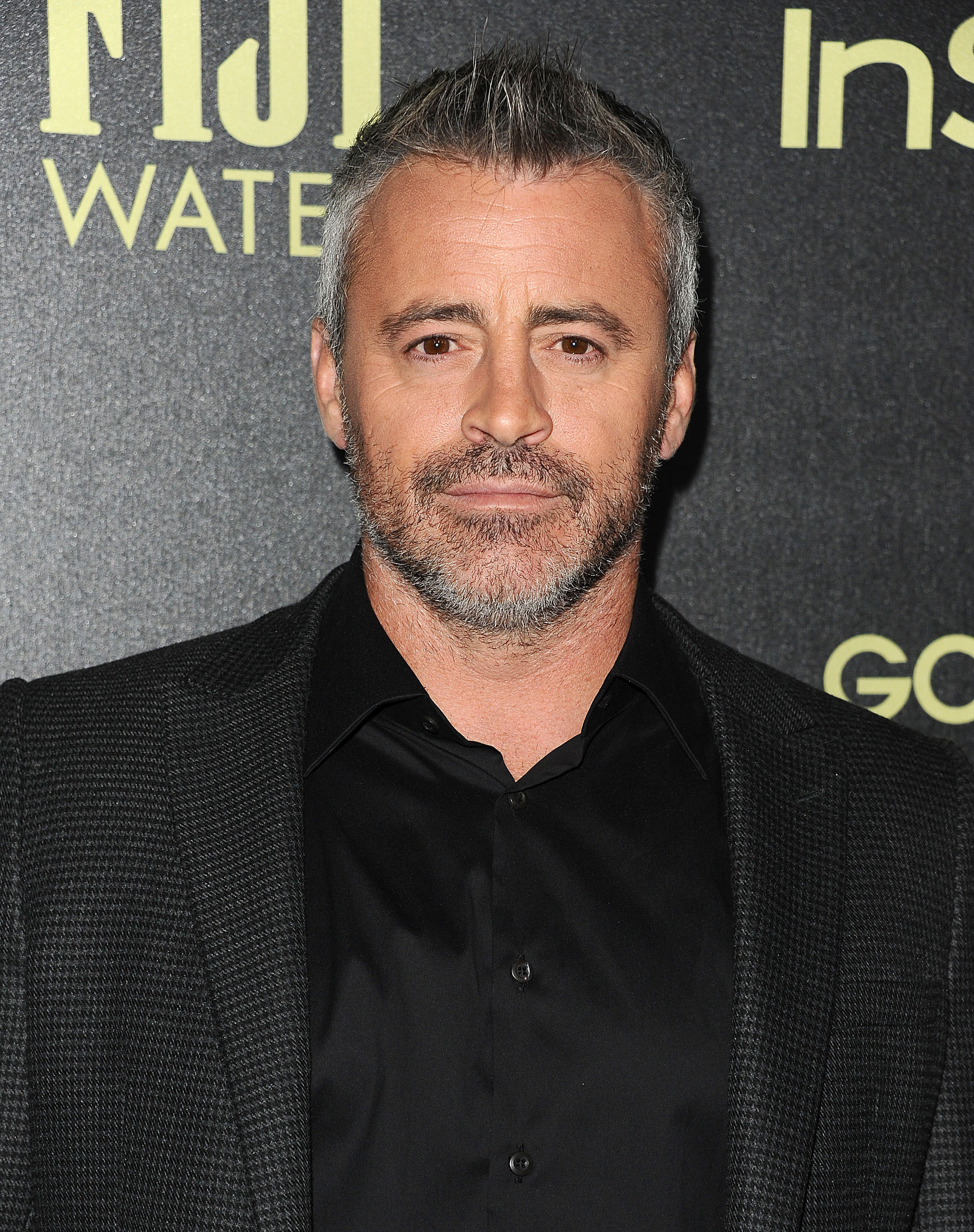 Matt LeBlanc en la celebración de la temporada de premios Globo de Oro 2016 de la Asociación de la Prensa Extranjera de Hollywood e InStyle el 17 de noviembre de 2015, en West Hollywood, California. | Fuente: Getty Images