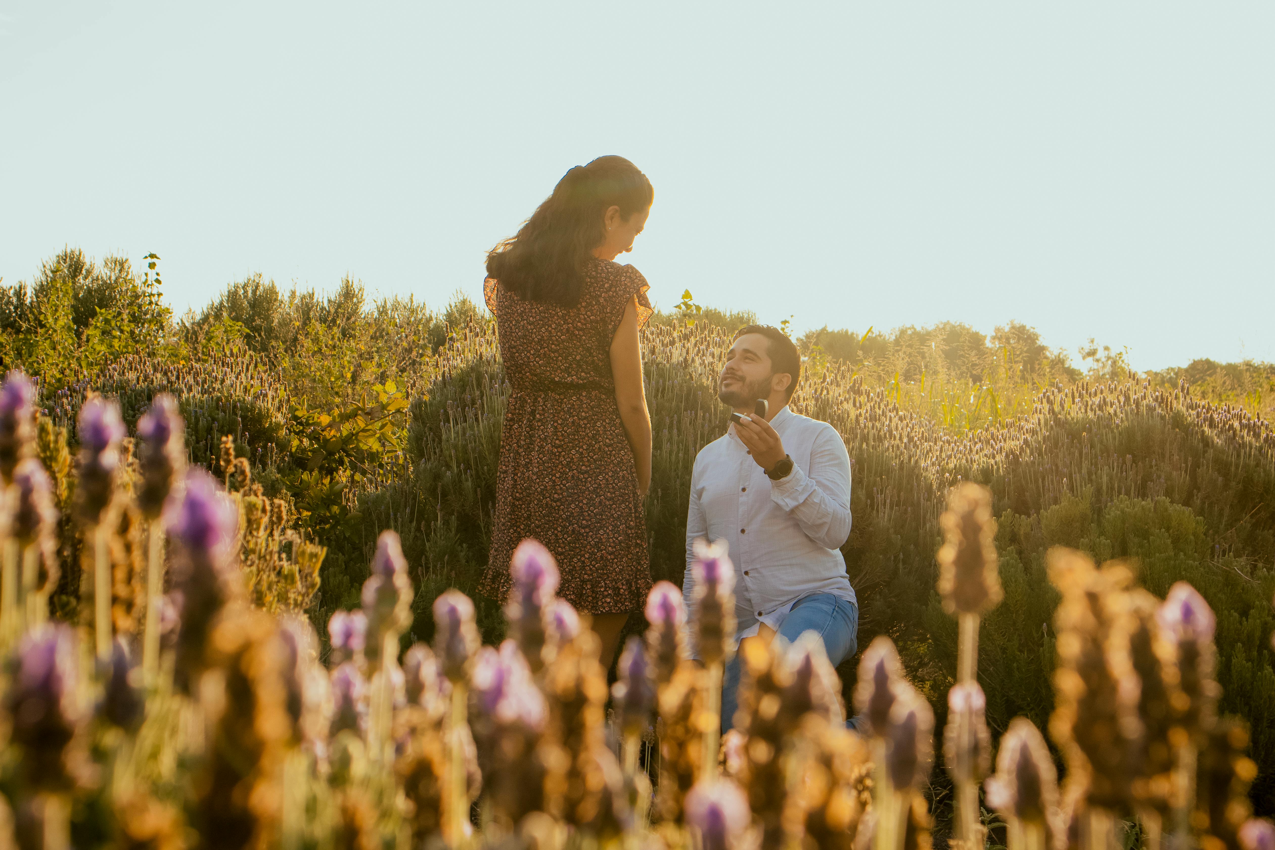 Un hombre pidiéndole matrimonio a su novia en un campo de lavanda | Fuente: Pexels