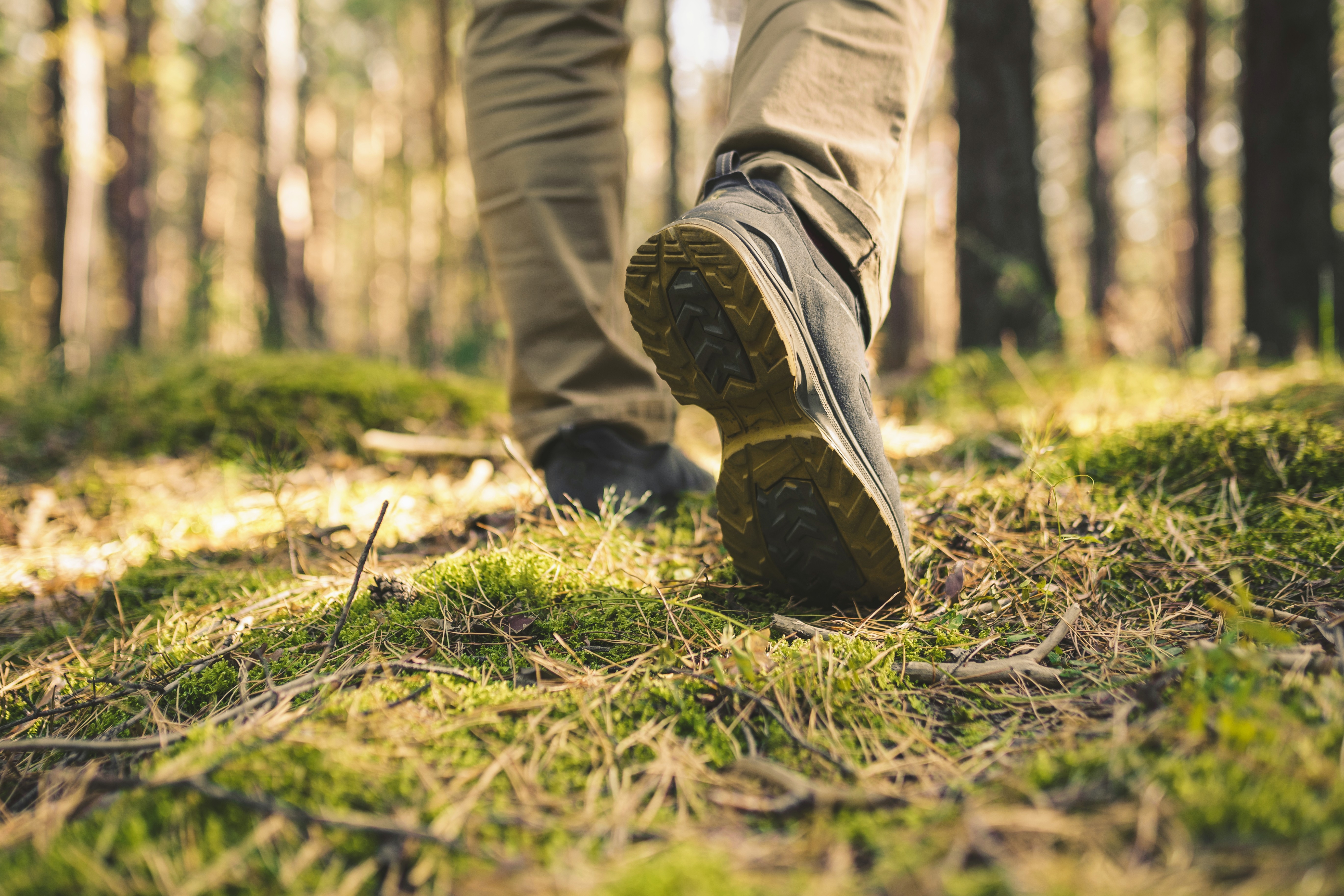Una persona caminando por el bosque | Fuente: Shutterstock