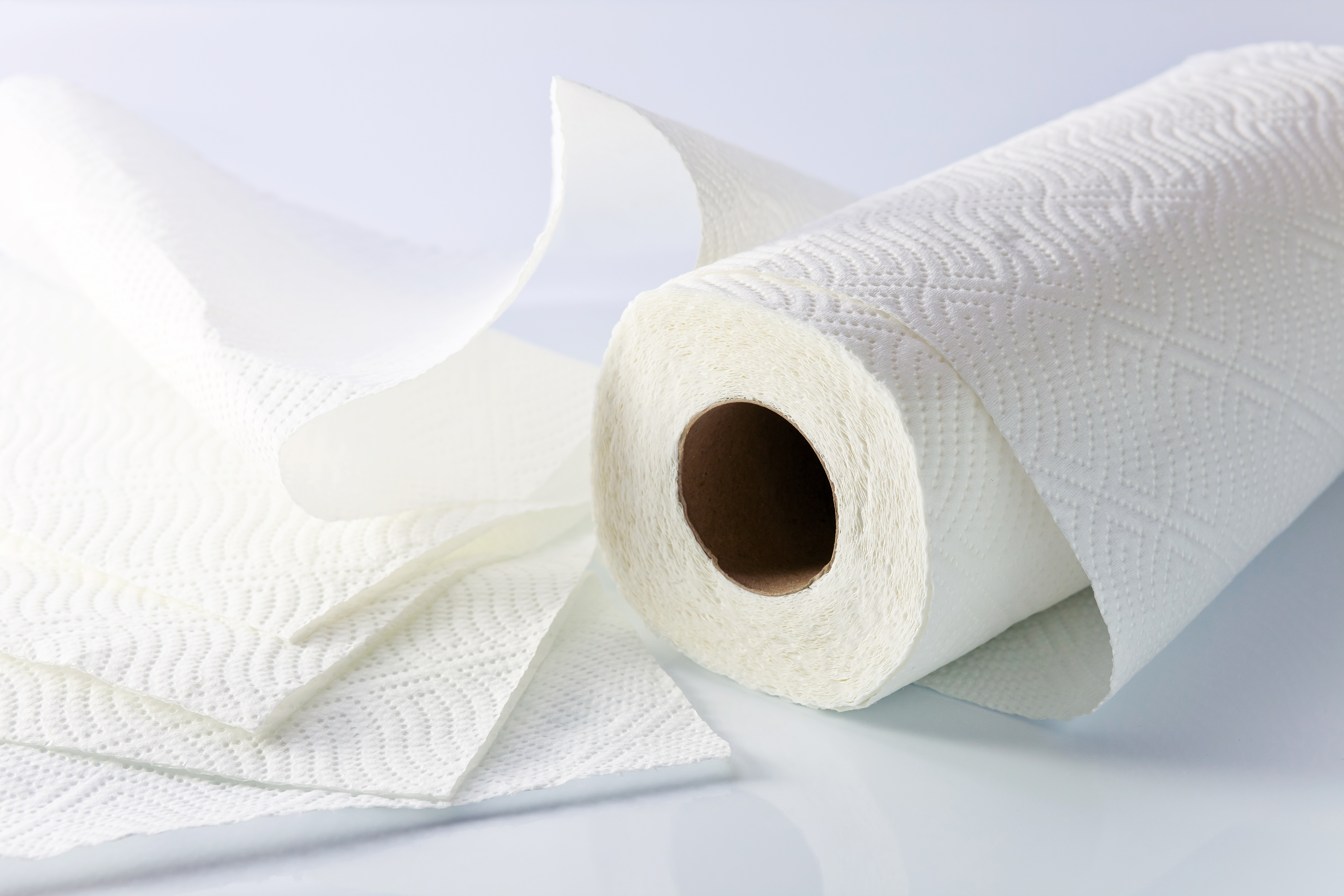 Un rollo de papel higiénico | Foto: Shutterstock