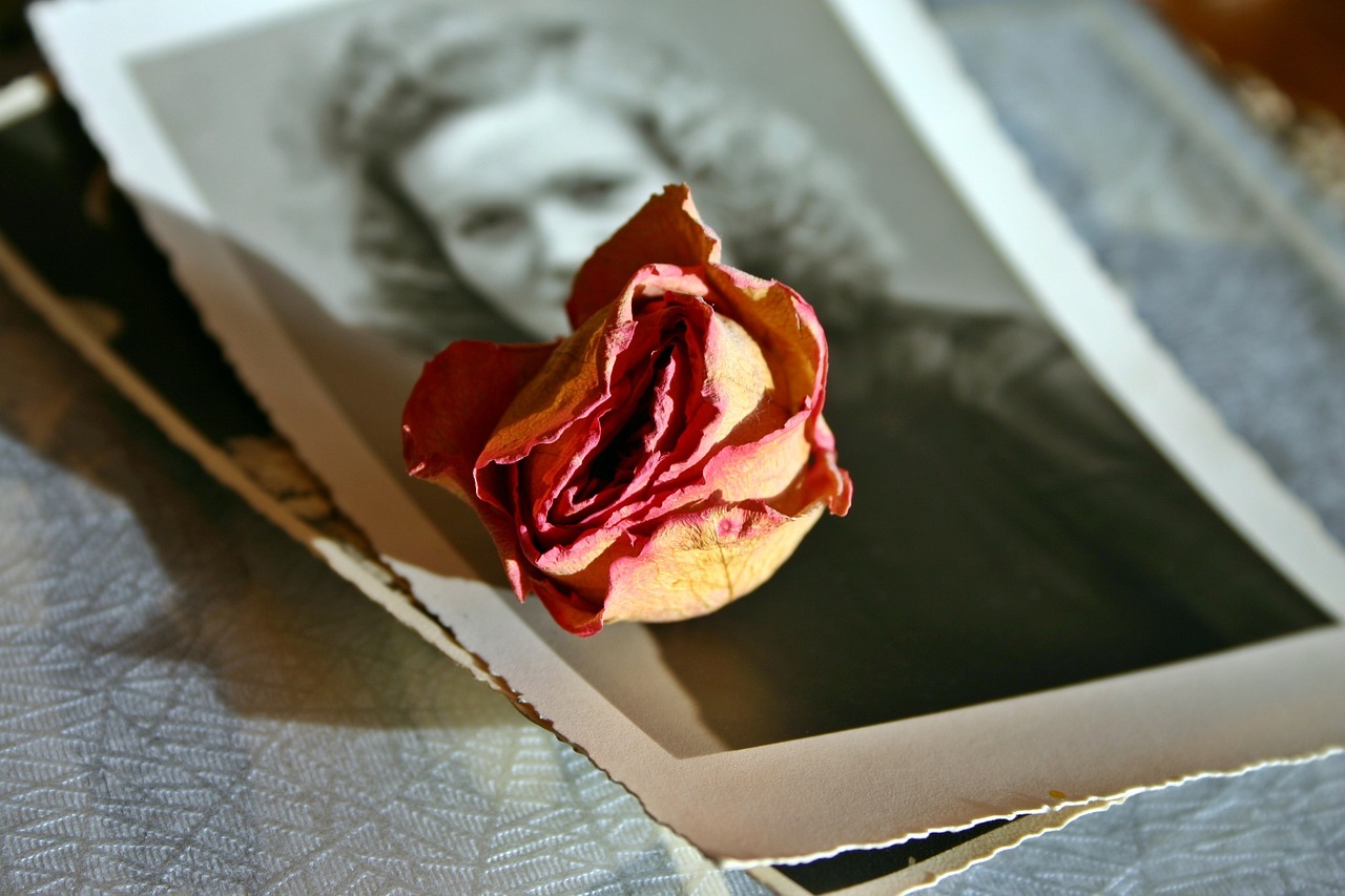 Foto antigua de una mujer y una rosa | Foto: Pixabay
