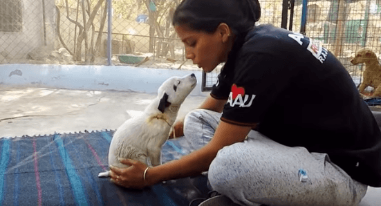 Rescate cachorro| Foto: YouTube / Animal Aid Unlimited, India