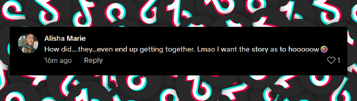 Comentario de un fan fechado en julio de 2025: "Cómo fue ...que terminaron juntos. Ja ja ja quiero la historia completa de cómo fue 🤣". | Fuente: TikTok/@avocado6713