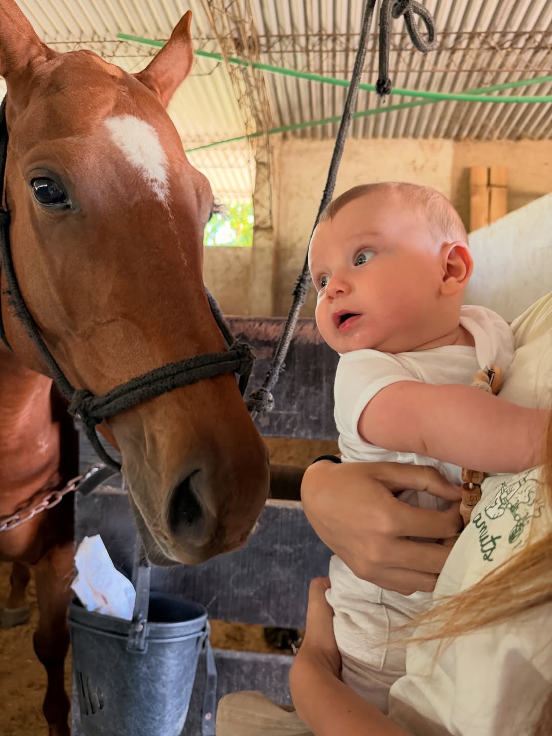 Eva Bargiela sosteniendo a su hijo Faustino mientras le muestra un caballo | Fuente: Instagram /evabargiela