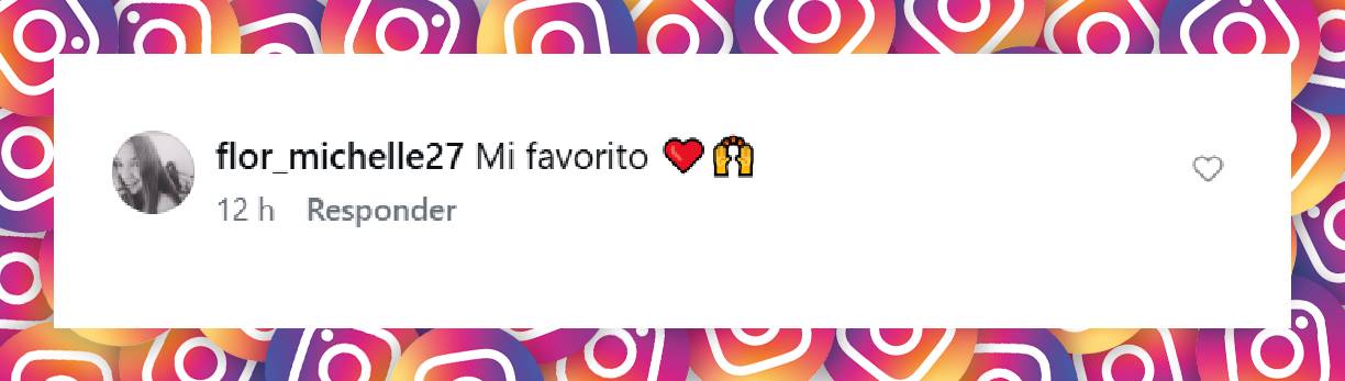 Comentario de una usuaria | Fuente: Instagram/granhermanoar