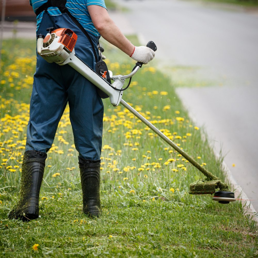 Hombre podando césped. | Foto: Shutterstock