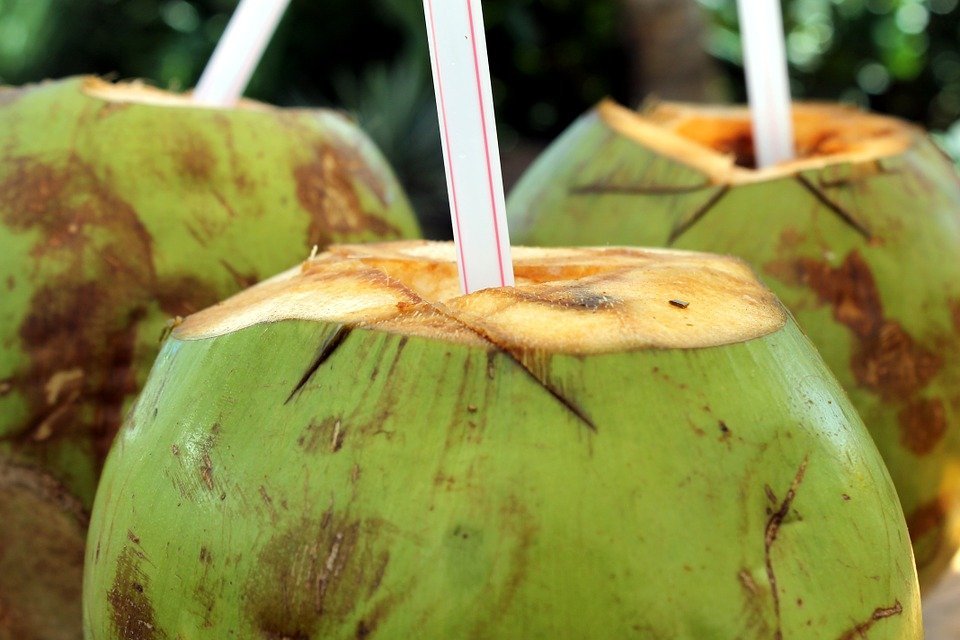 El agua de coco es uno de los mejores remedios naturale contra la presión alta-Imagen tomada de Pixabay