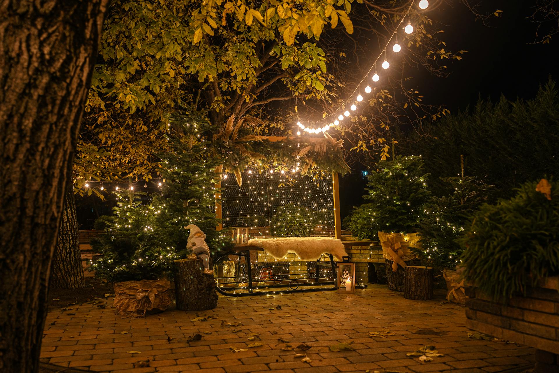 Un patio con luces de Navidad | Fuente: Pexels