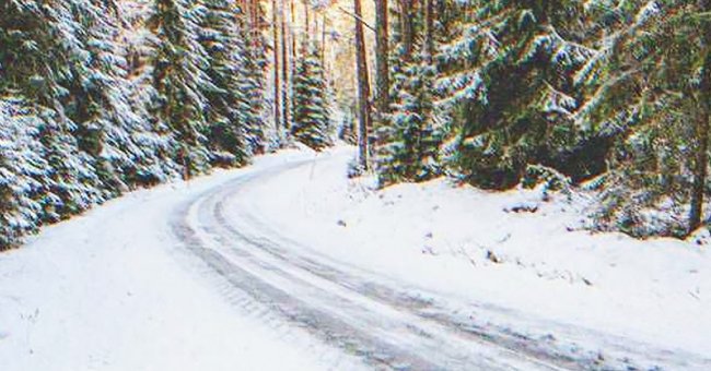 Un camino de nieve | Foto: Shutterstock