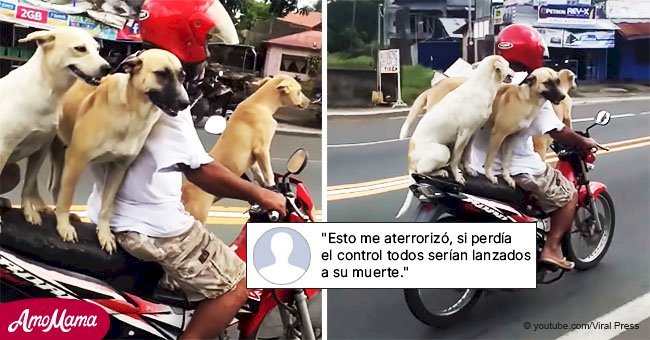 Tres perros en motocicleta: Dueño de perros criticado por peligrosa hazaña en motocicleta