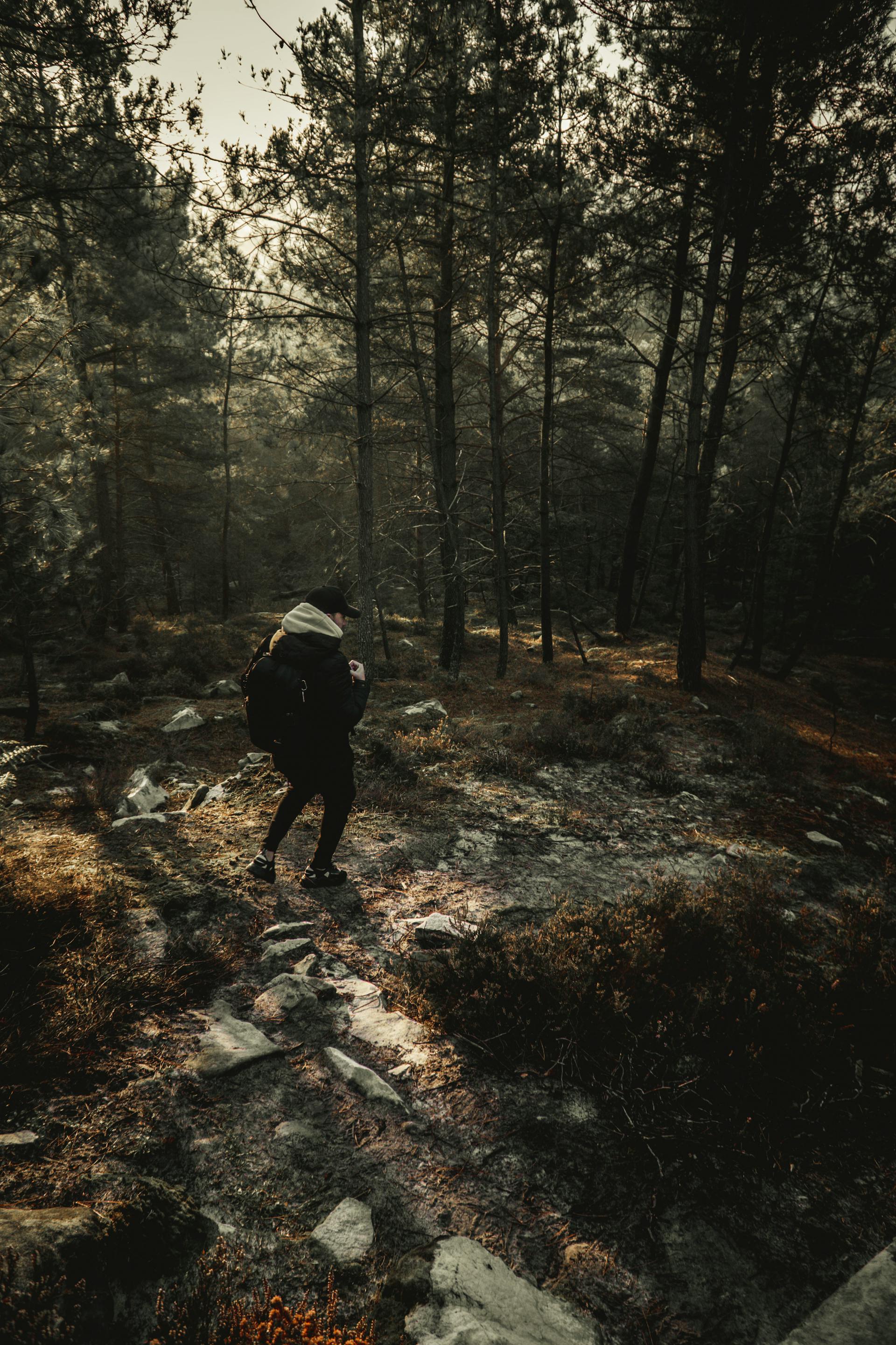 Un hombre haciendo senderismo | Fuente: Pexels