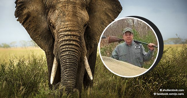 "Fue en defensa propia": la controversial justificación de empresario que mató a dos elefantes